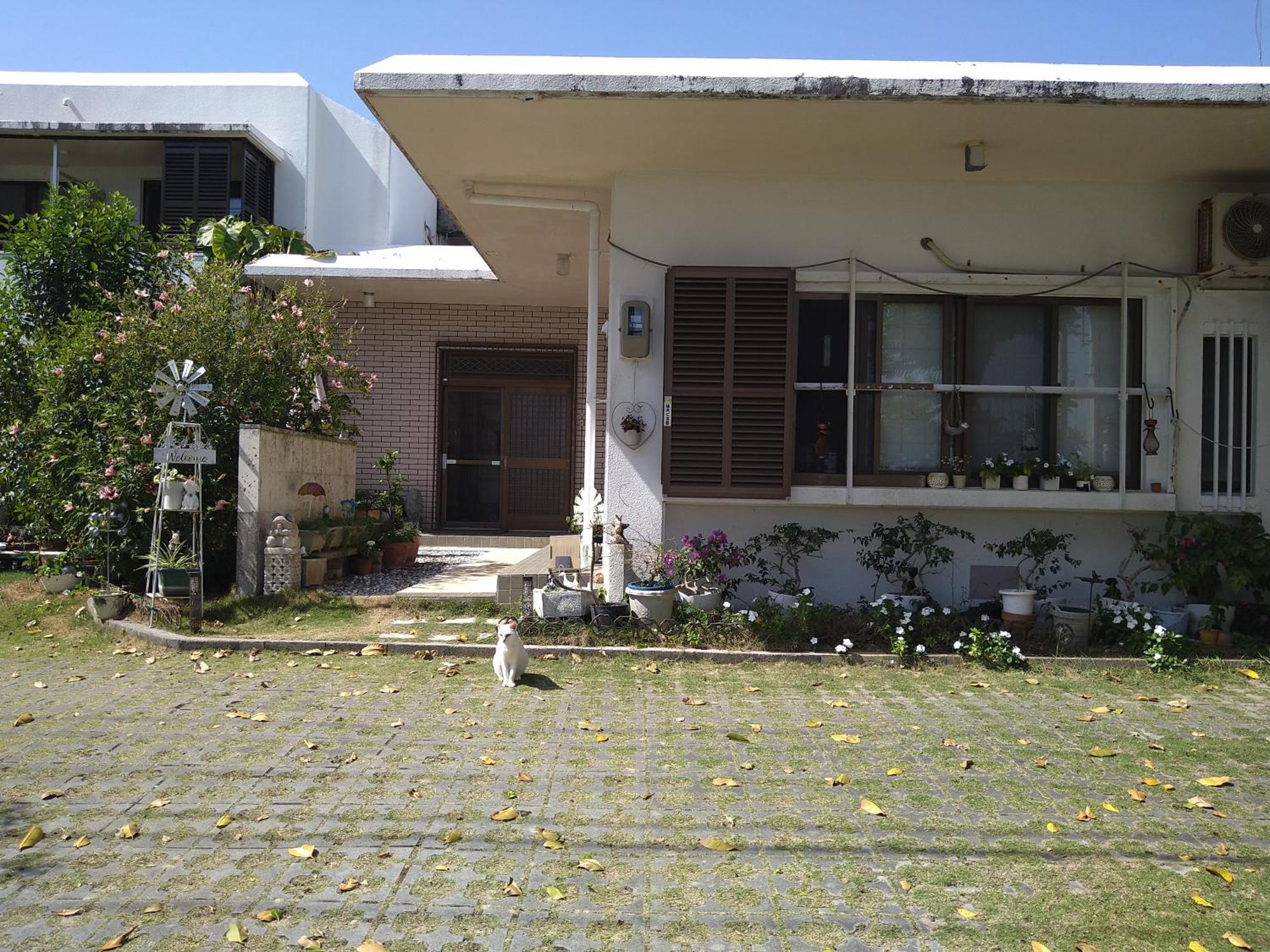 Hostel Minshuku Zabaru Ishigaki  Zewnętrze zdjęcie